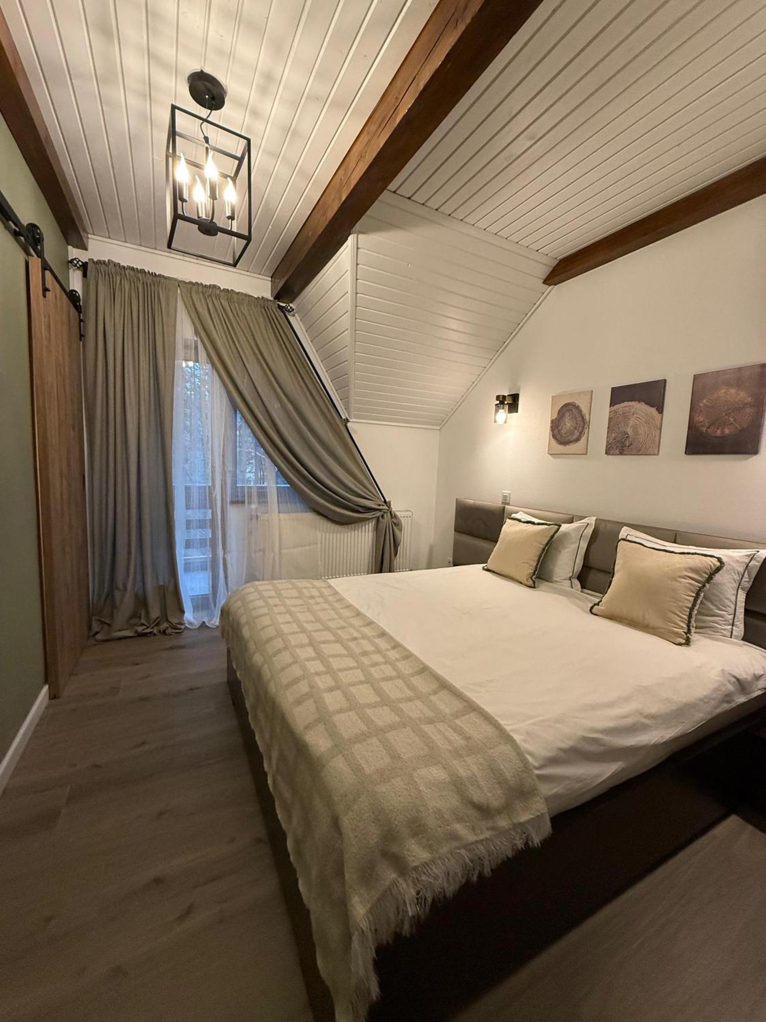 Vila Dani Sinaia Ngoại thất bức ảnh