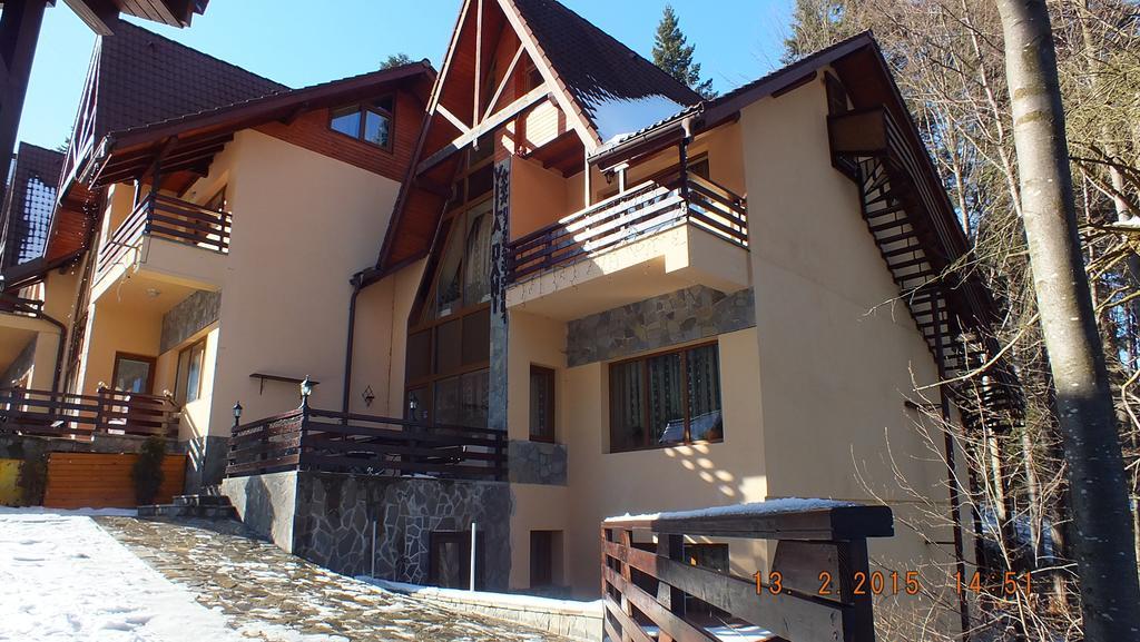 Vila Dani Sinaia Phòng bức ảnh