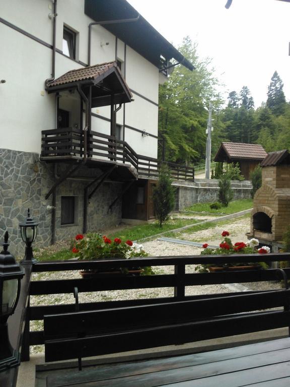 Vila Dani Sinaia Phòng bức ảnh