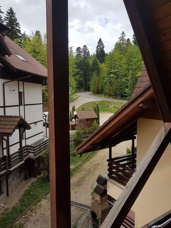 Vila Dani Sinaia Ngoại thất bức ảnh